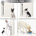 Chien d'entraînement de pot de chien pour le chien de la maison